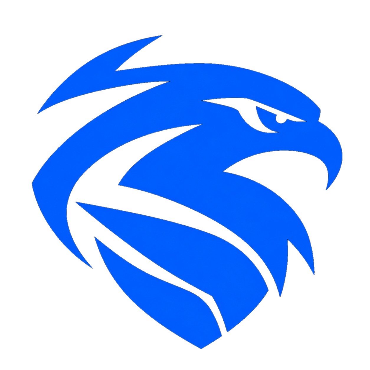 TEAM AIR eagle mark